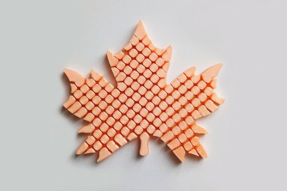 Articulated Maple Leaf – Flexible Model: A Tactile and Interactive 3D Print