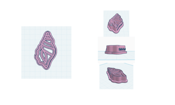 Bring Coastal Charm to Baking with Seashell Cookie Cutters