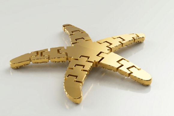 Starfish Flexi Toy: A Versatile Design Asset